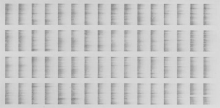 High Density Serum Array