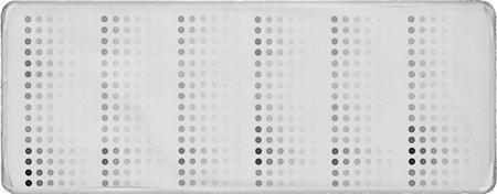 Low Density Lysate and Serum Array